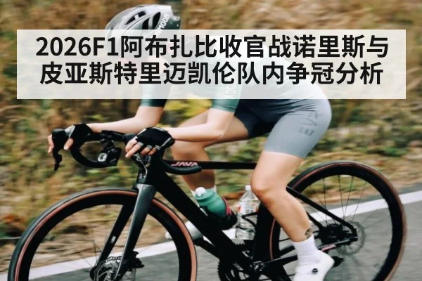 2026F1阿布扎比收官战诺里斯与皮亚斯特里迈凯伦队内争冠分析